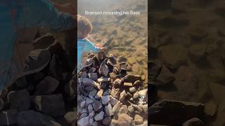 Releasing Branson’s fish back in the wild shorts bass bassfishing [upl. by Hawken]