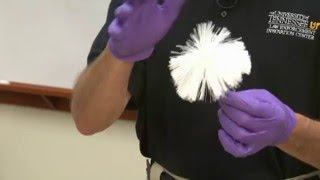 How to Process Latent Fingerprints Using NonMagnetic Powder [upl. by Ziza354]