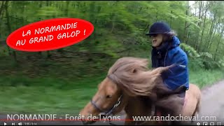 Rando Cheval en Normandie  Galops de rêve par Randocheval [upl. by Anilat937]