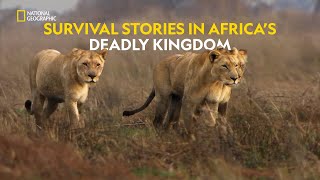 Survival on the Plains  Africas Deadly Kingdom  हिंदी  Full Episode  S1  E4  Nat Geo Wild [upl. by Dodson]