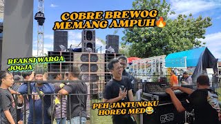 COBRE BREWOG MEMANG AMPUH🔥BEGINI REAKSI WARGA JOGJA PERTAMA KALI DENGAR SUARA BREWOG LANGSUNG [upl. by Enad]