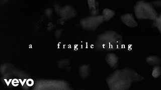 The Cure  A Fragile Thing Official Lyric Video [upl. by Sorrows]