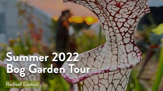 Bog Garden Tour September 2022 [upl. by Karil]