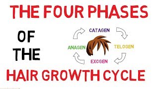 How Your Hair Grows  Hair Cycle and Hair Growth Factors kids science dermatology [upl. by Allebara]