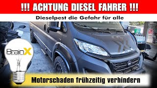 DIESELPEST erkennen  Motorschaden vermeiden [upl. by Birecree]