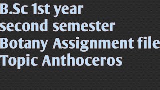 Bsc 1st year second semester Botany Assignment file Topic Anthoceros [upl. by Bessy]