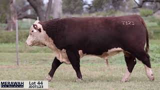 Lot 44 JDOT123 Merawah 2024 [upl. by Eet750]