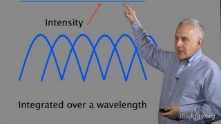 Microscopy Diffraction Jeff Lichtman [upl. by Traci]