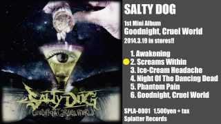 【SALTY DOG】2014319 Release 「Goodnight Cruel World」 Trailer [upl. by Samal]