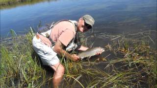 Fly Fishing Goodrich Creek at Lake Almanor Basin [upl. by Barnaby825]