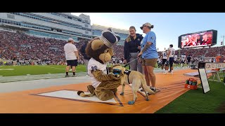 Virginia Tech vs ODU Enter Sandman 922023 Hudson the Dog [upl. by Manon744]