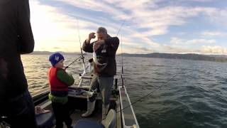 Wellington Harbour  Took a kid fishn [upl. by Keyes647]