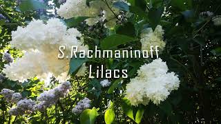 Rachmaninoff quotLilacsquot Рахманинов quotСиреньquot [upl. by Pearl]