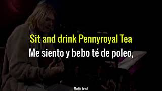 Nirvana  Pennyroyal Tea Unplugged  Subtitulada en Español [upl. by Enywad724]