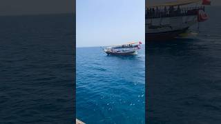 The Coolest Experience in Oman  Musandam Dibba Dhow Cruise Ride [upl. by Everick]