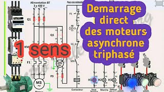 Démarrage direct dun moteur asynchrone triphasé 1sens [upl. by Vallonia]