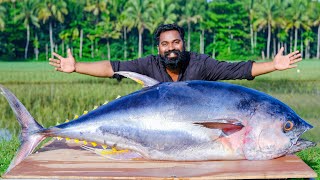 50 Kg  Tuna Fish ThavaFry  ഇത്രക്ക് വലിയ മീനെ പൊരിച്ചുകഴിച്ചാലോ  M4 Tech [upl. by Brothers617]