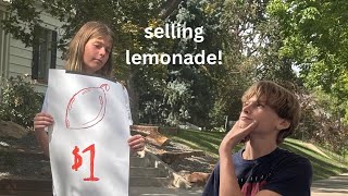 How Much Money Can You REALLY Make From Selling LemonadeChallenge [upl. by Nilson625]