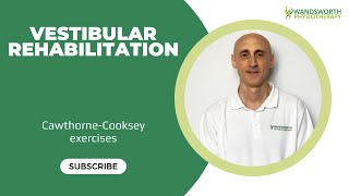 Vestibular rehabilitation [upl. by Evers]