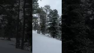 First snowcat drive up at Mt Charleston for winter 2425 lasvegas mtcharleston [upl. by Ahtreb330]