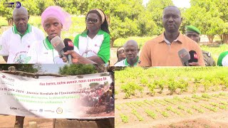 Journée mondial de lenvironnement célébré à kaolack avec Caritas en partenariat lIREF [upl. by Venu]