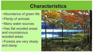 Temperate Deciduous Forest Biome Presentation Lavadia BIO [upl. by Bertha514]