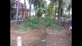 High Density Plantation Programme by quotAkira Miyawakiquot method Under MGNREGSAP [upl. by Sletten288]