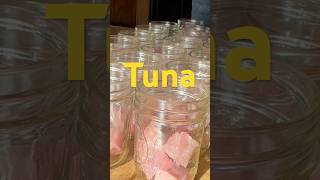 Tuna fishing albacore tuna fishinglife monsterfish canned albacore fisherman fishvideo [upl. by Coraline90]