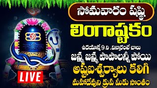 లింగాష్టకం  LINGASHTAKAM MONDAY SPECIAL POWERFUL BHAKTI SONGS 2024 [upl. by Llezom]