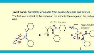 DCC Reagents Organic Chemistry formation of Amide [upl. by Annairba833]