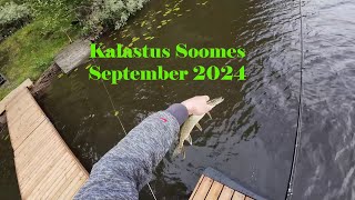 Kalad Soomes September 2024 [upl. by Hcelemile642]