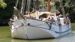 Sailing Scow Jane Gifford Warkworth New Zealand  2019 [upl. by Osicnarf]