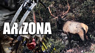 ARIZONA LATE ARCHERY ELK HUNT  BULLS EVERYWHERE [upl. by Ehudd]