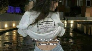 quotSheila Ki Jawaniquot Slowed Reverb  Tees Maar Khan  Katrina Kaif  Vishal Dadlani Sunidhi Chauhan [upl. by Annavoj416]