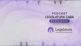 Podcast  Comisión Presupuesto  Presupuesto 2025 [upl. by Nrehtac763]