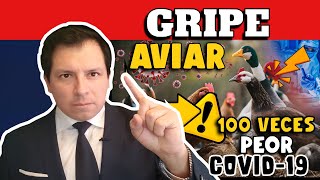 ¡ALERTA CIENTÍFICOS REVELAN QUE UNA PANDEMIA POR GRIPE H5N1 ESTA SERÍA 100 VECES PEOR QUE COVID19 [upl. by Adnelg500]