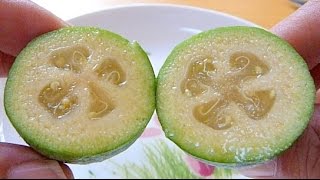 How to eat Feijoa [upl. by Er]