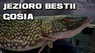 Fishing Sim World Pro Tour Trophy Fish Gosia Jezioro Bestii [upl. by Egedan]