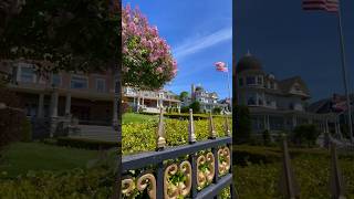 AMAZING Lilacs Gardens on Mackinac Island Lilac Festival 2024 mackinacisland gardentour flowers [upl. by Tserrof]