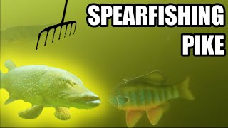 Darkhouse Spearfishing for Pike Through the Ice  How to Setup [upl. by Desberg517]