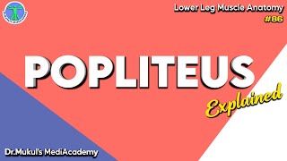 Popliteus Muscle Everything you need to knowlower Leg Muscle Anatomy86 [upl. by Lednem]