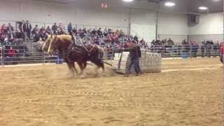 Orangeville Horses Pull 18000 lbs 2013 [upl. by Pozzy]