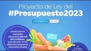 Presupuesto General de Ingresos y Egresos del Estado para el 2023 [upl. by Burford]