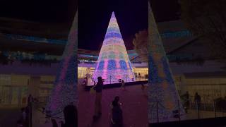 テラスモール湘南Terrace mall Shonanクリスマスツリーイルミネーションchristmastree鎌倉kamakurachristmas 湘南nightview江ノ島辻堂 [upl. by Percy]