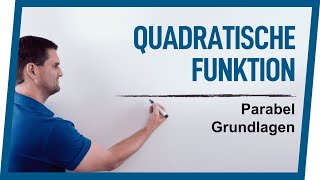 Quadratische Funktion amp Parabel Grundlagen  Mathe by Daniel Jung [upl. by Tarsus]