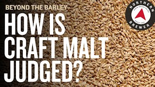 How Craft Malt is Judged and Awarded [upl. by Jason]