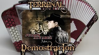 Terrenal Julion Álvarez acordeon de sol [upl. by Lamont181]