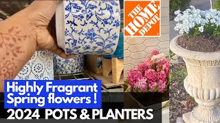 HOMEDEPOT Pots amp Planters 2024 Plantshopping amp Planting CANDYTUFT Flower [upl. by Nyleak872]