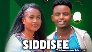 Tokkummaa Abarraa  Siddisee New Oromo music 2023 Official video [upl. by Frasquito]