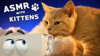 ASMR with KITTENS 🐱 Ear to Ear Purring Goodie Smacking Fur Grooming [upl. by Heyward601]